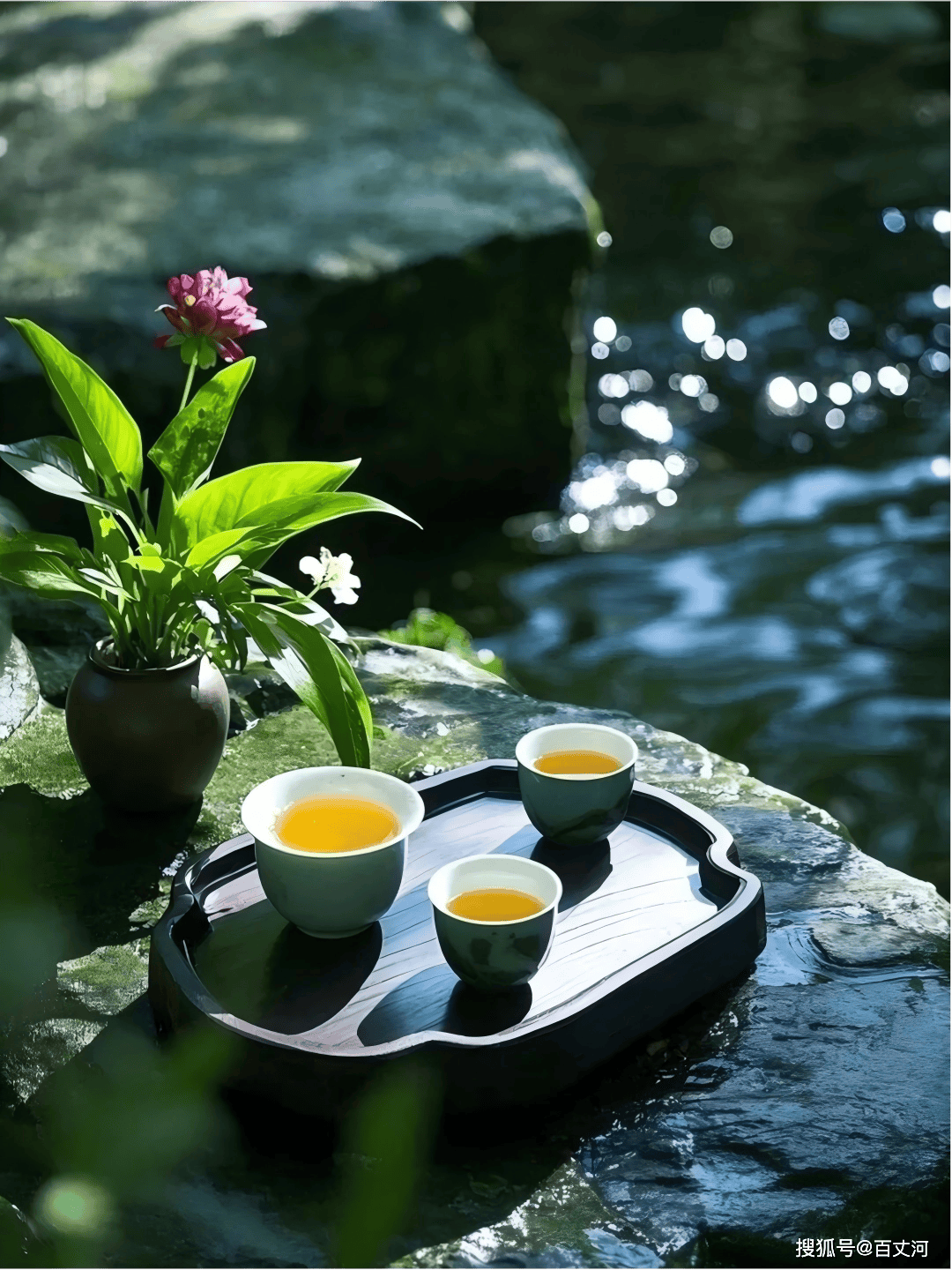 茶12.jpg