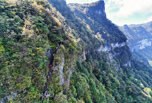 金佛山登山步道。景区供图