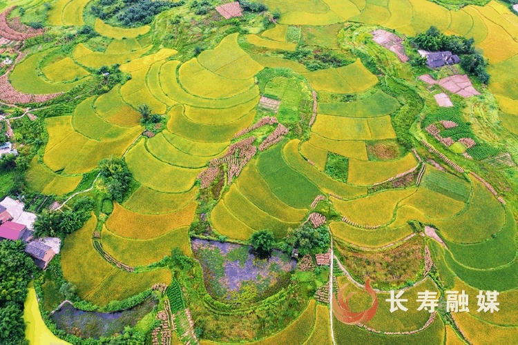 廖涛+菩提街道走马村3