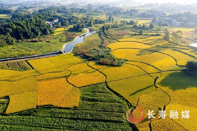 李炎+新市街道红土地村2