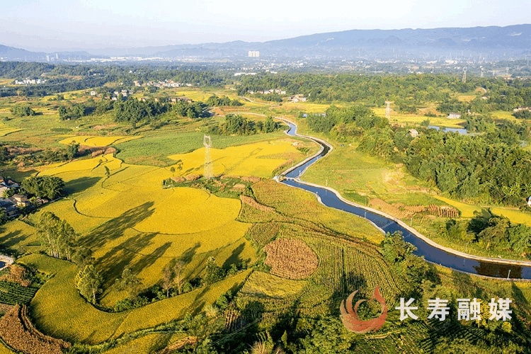 李炎+新市街道红土地村3