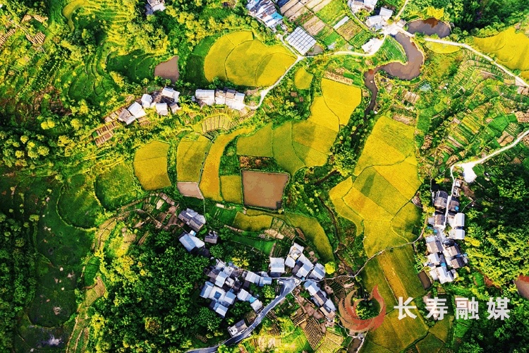廖涛+菩提街道走马村2