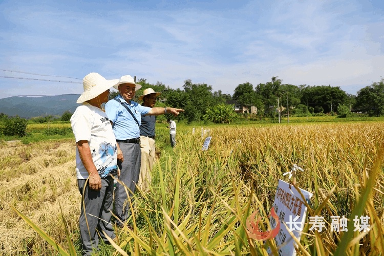 长寿 科学施肥节本又增效2