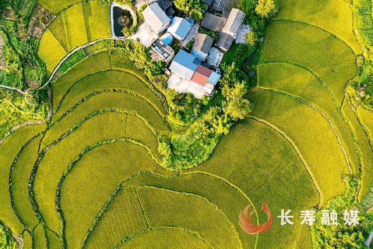李炎+新市街道新市村2