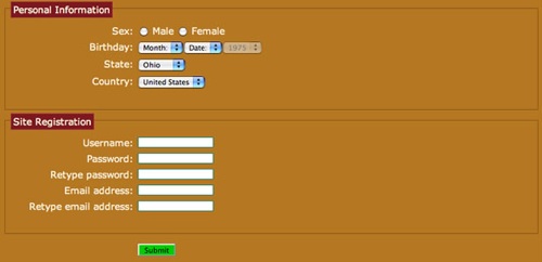 CSS3 form