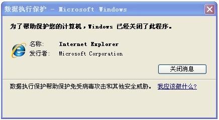 网友提供崩溃画面截屏IE8稳定性受质疑