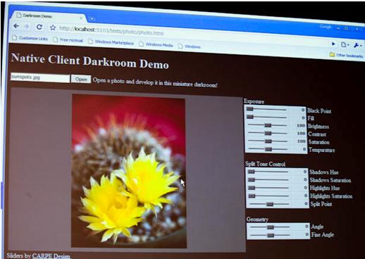 Google Native Client
