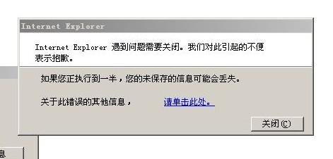 网友提供崩溃画面截屏IE8稳定性受质疑