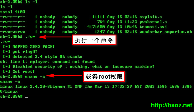 linuxlocalroot