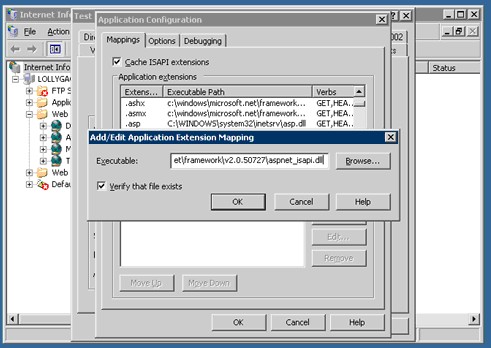 在IIS6.0中创建wildcar script map的步骤