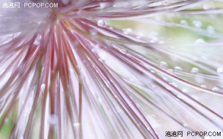 壁纸大战Windows7vs.SnowLeopard