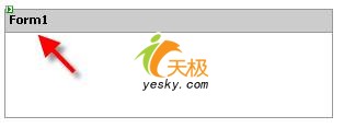 Form控件