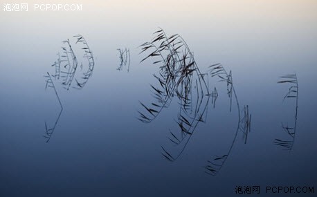 壁纸大战Windows7vs.SnowLeopard