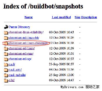 Google操作系统自带浏览器Chrome 4.0.222.6