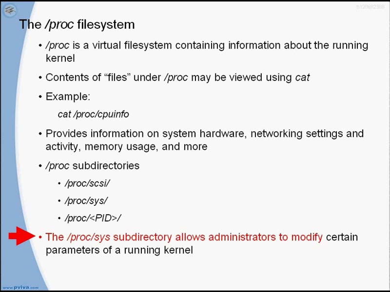 RHEL进程管理上述修改存储于/etc/sysctl.conf
sysctl -p查看sysctl.conf的内容
