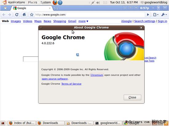 Google操作系统自带浏览器Chrome 4.0.222.6