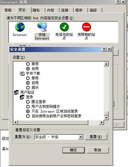 ie安全设置-Intranet