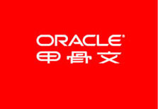 Oracle Logo