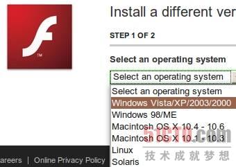 版本众多的Flash