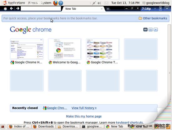 Google操作系统自带浏览器Chrome 4.0.222.6