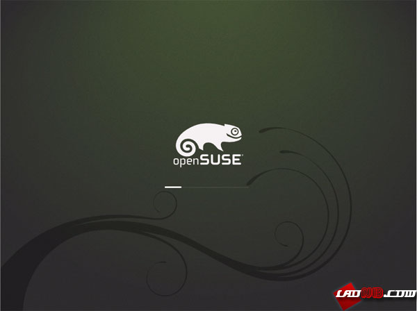 SUSE 11.2