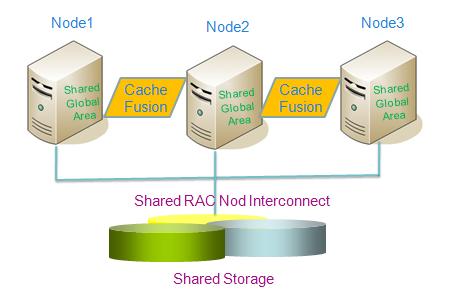 Oracle Real Application Clusters