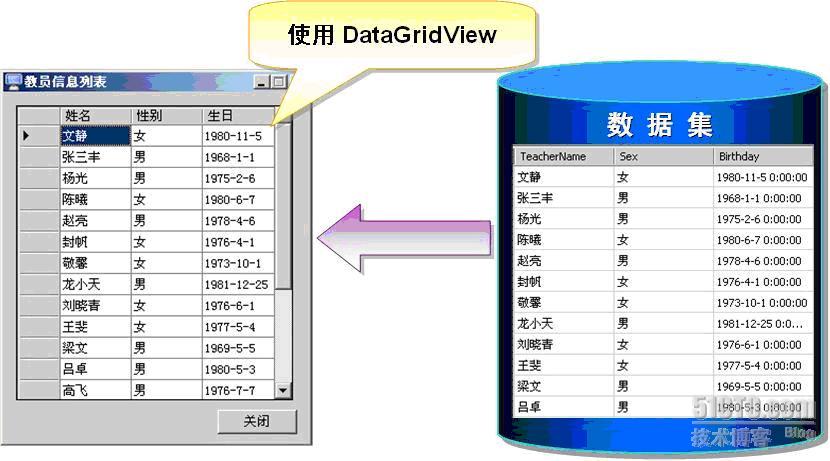 ADO.NET DataGridView控件的工作示意图