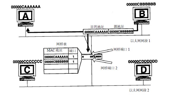 透明网桥的功能—获取