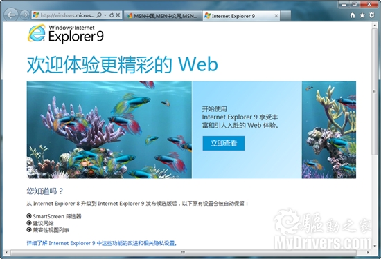 尽享网络之美 微软正式发布IE9