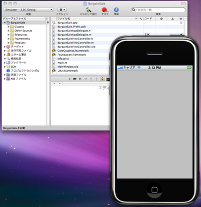 iPhone Simulator