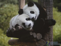 鱼眼反射 宏碁超短焦投影机U5200测试 