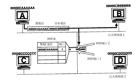 透明网桥的功能—获取