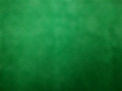 网店专用扫描Epson V33\V330采购秘籍 