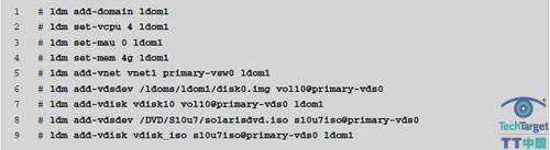 主要域,来宾域,网络连接,Oracle Solaris