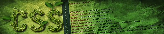 CSS