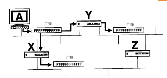透明网桥的功能—消除循环