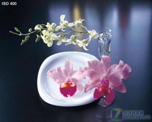 评测打印输出色彩品质的标准图像解析 