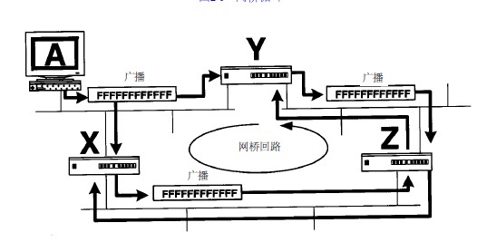 透明网桥的功能—消除循环