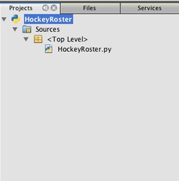 使用 NetBeans IDE 开发 Python 应用程序