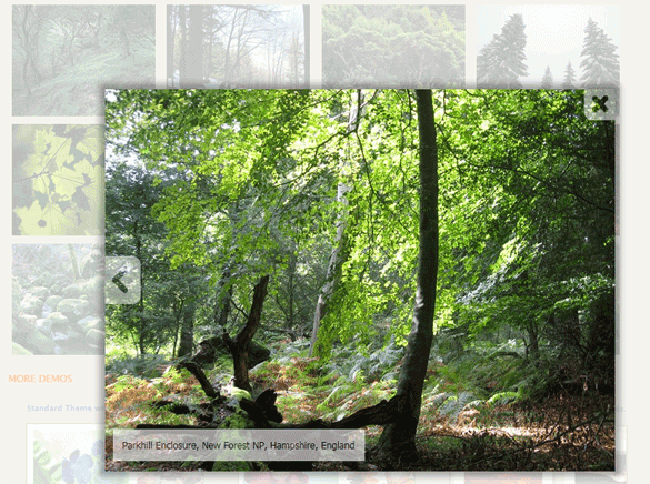 Chrome Style jQuery Image Gallery plugin