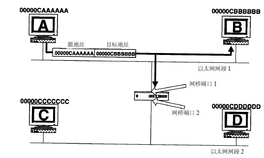 透明网桥的功能—获取