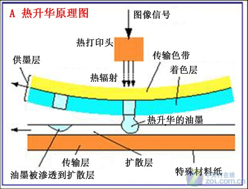 浅谈染料热升华打印技术的原理及应用 