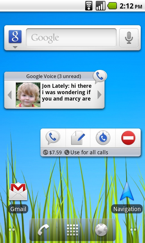 Google Voice
