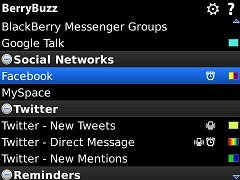 BerryBuzz