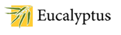 Eucalyptus