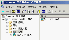 使用专用IP进行FTP服务器搭建
