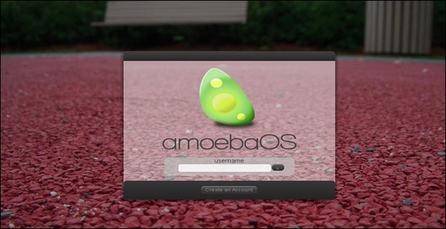  Amoeba