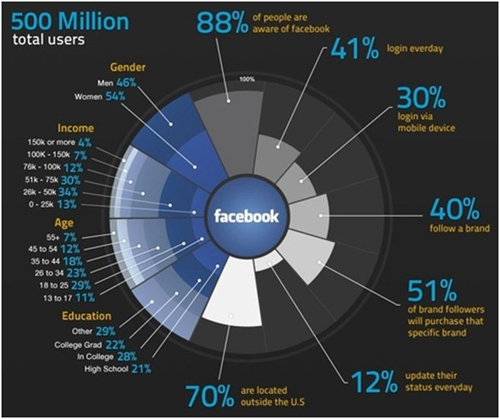 facebook demographic