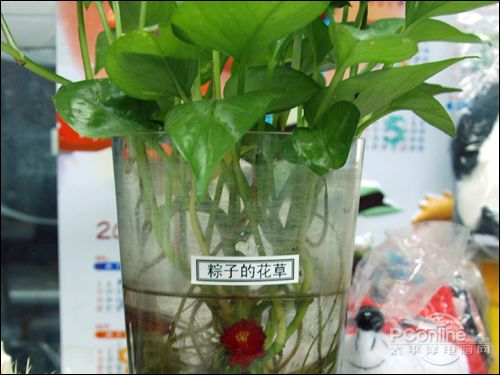 兄弟2430PC