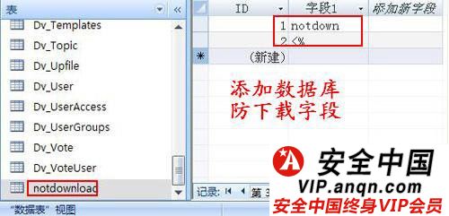 Access数据库防下载字段